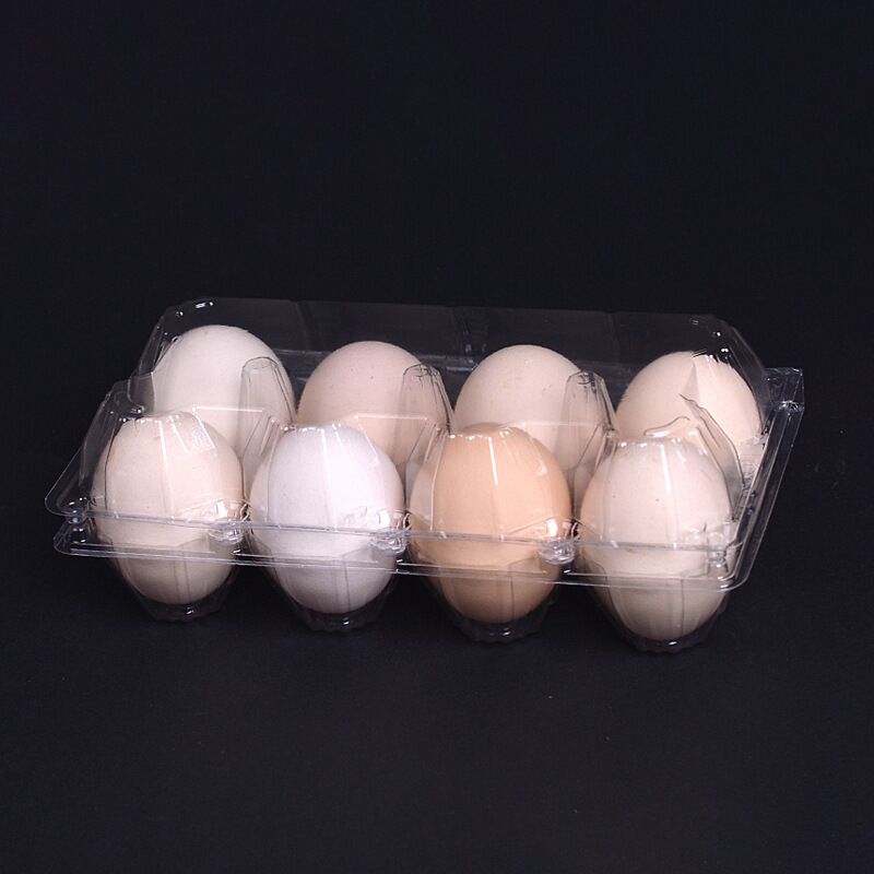 Duck Goose Egg Plastic Tray - Image 3