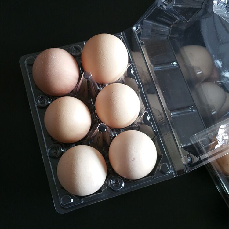 Duck Goose Egg Plastic Tray - Image 2