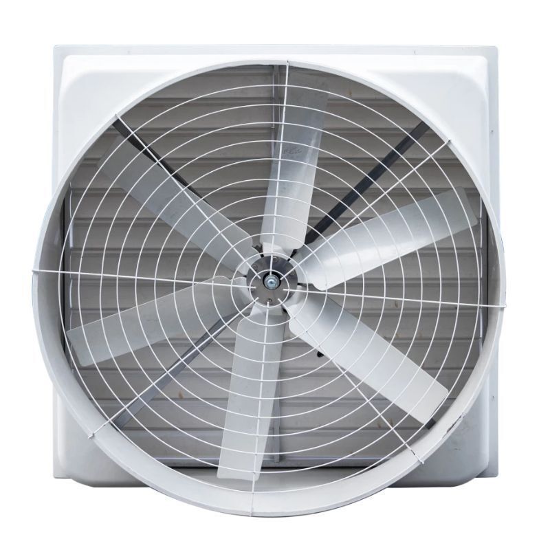 Butterfly Cone Fan for Chicken House