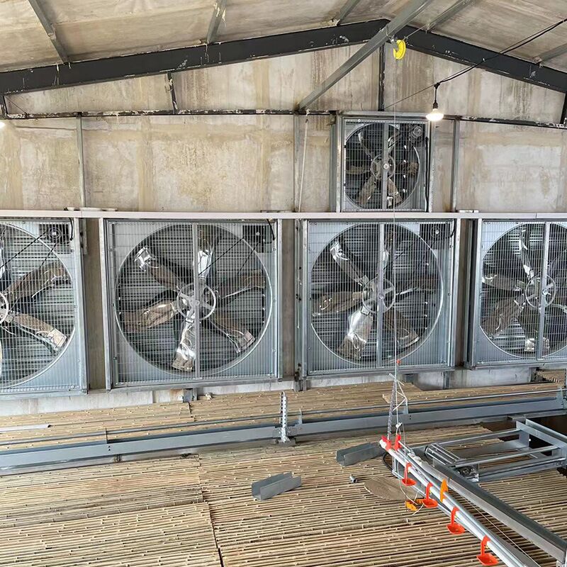 Bom of Poultry Farm Exhaust Fan - Image 2
