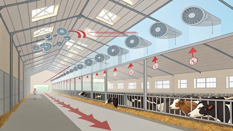 What is the Difference Between Ceiling Fans and Wall-Mounted Fans for ...