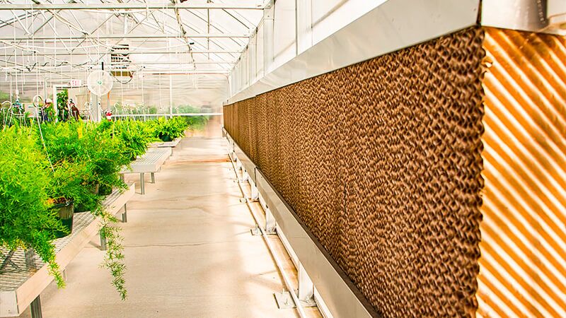 How Evaporative Cooling Pads Work and Their Applications in Greenhouses -  China Exhaust Fan  Industrial & Roof Ventilators Supplier