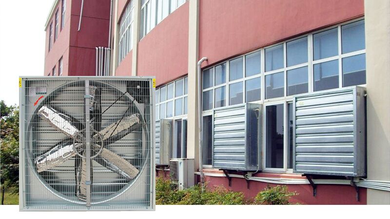 Advantages of Negative Pressure Fans in Livestock and Industry - China ...