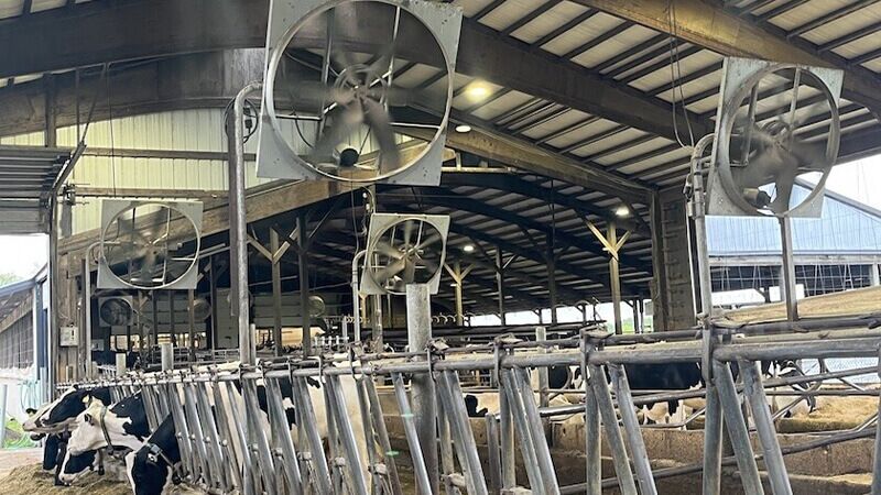 牛舎用換気扇と豚舎用換気扇：違いはある？ - 中国製排気ファン - 産業 